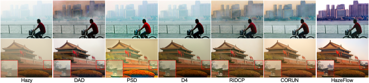 Unpaired Dataset